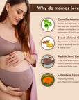 Nourishing Belly Oil | Pregnancy Stretch Mark Oil - Glo Mama